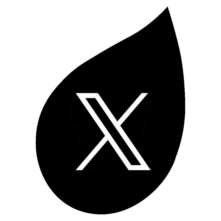 twitter icon